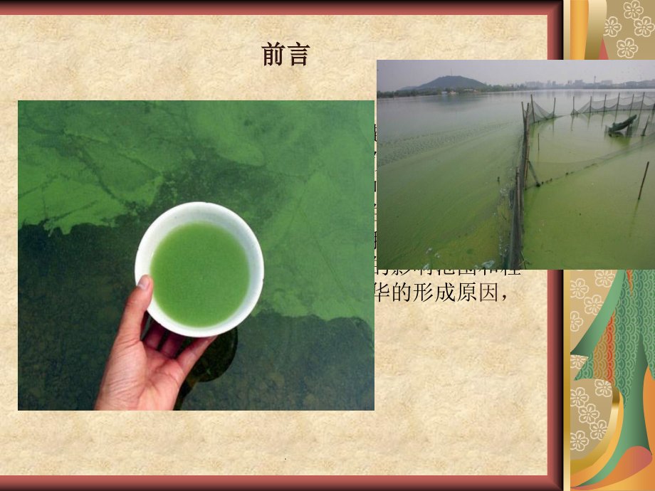水华的成因及防治.ppt_第2页