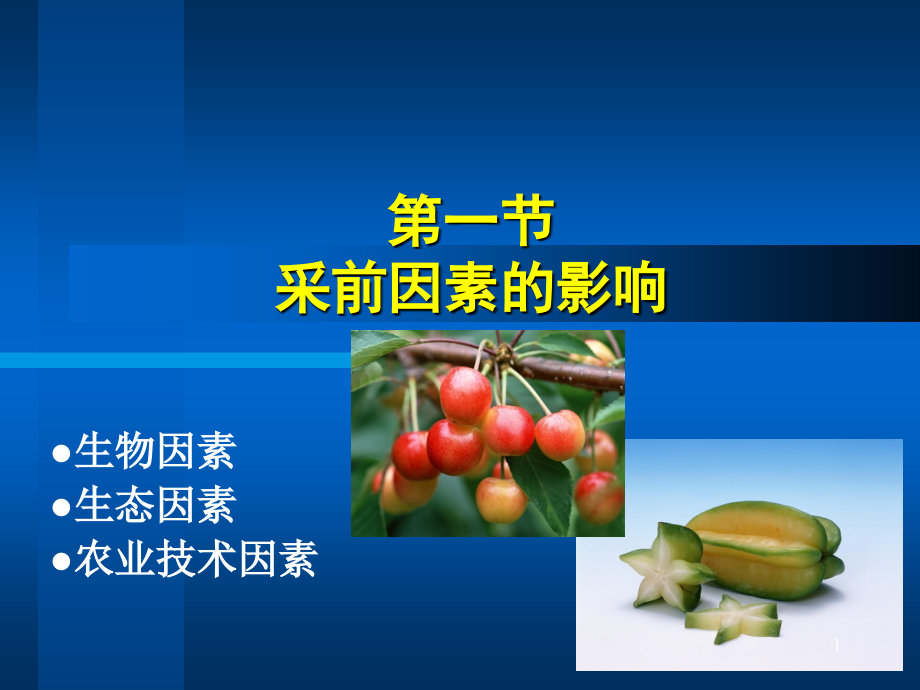 影响园艺产品贮藏的采前因素.ppt_第1页