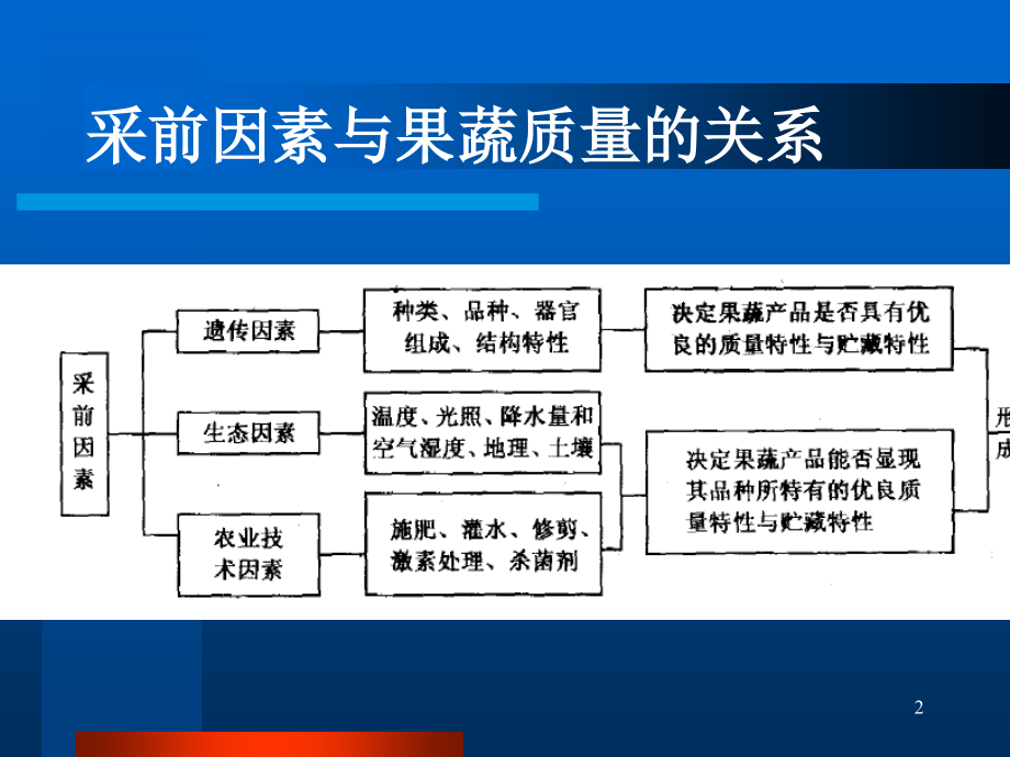 影响园艺产品贮藏的采前因素.ppt_第2页