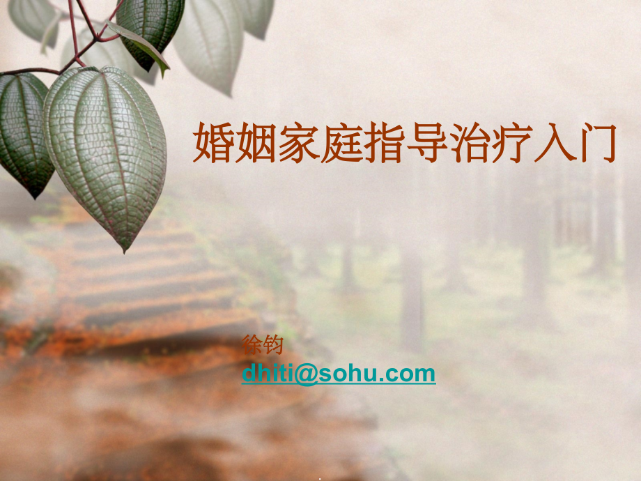 婚姻家庭治疗入门.ppt_第1页