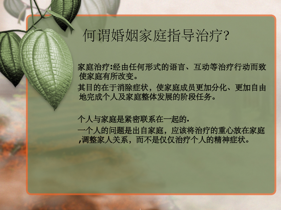 婚姻家庭治疗入门.ppt_第2页