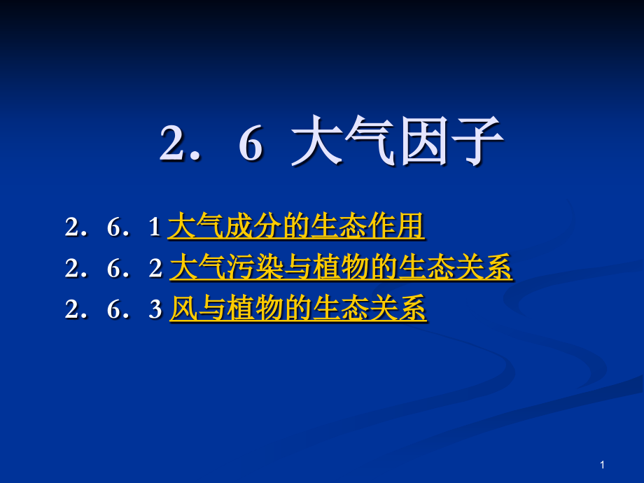 大气因子.ppt_第1页