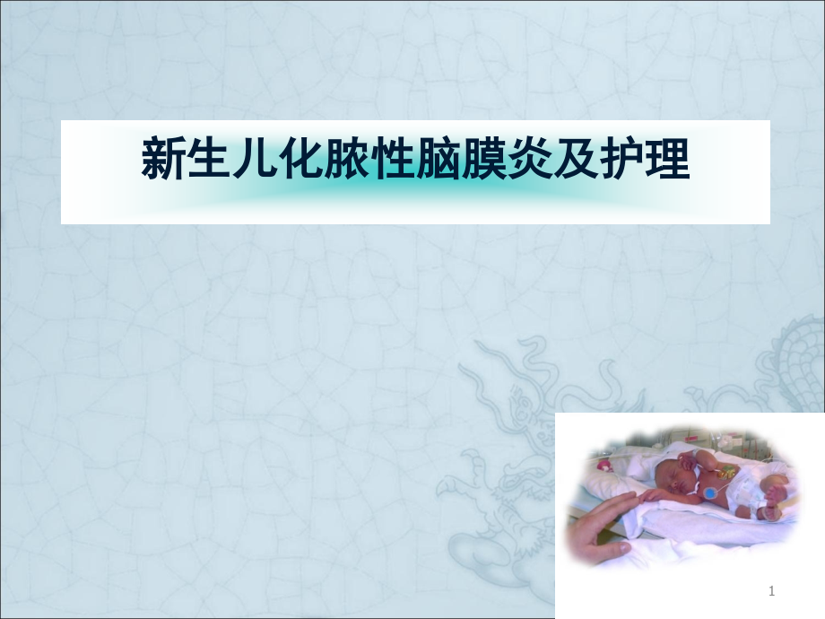 新生儿化脓性脑膜炎及护理.ppt_第1页