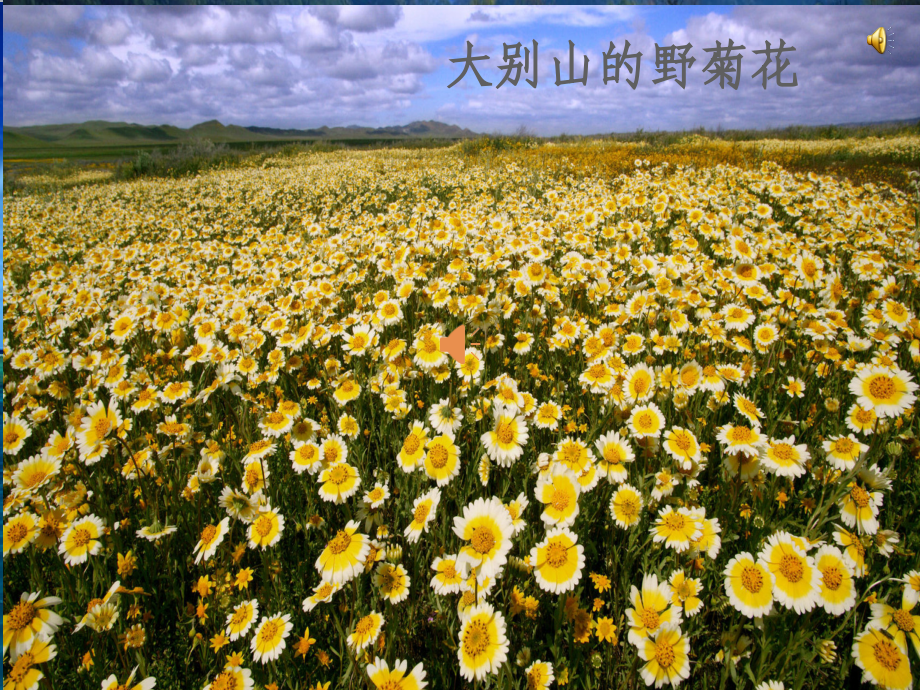 六年级英语过去式复习.ppt_第1页