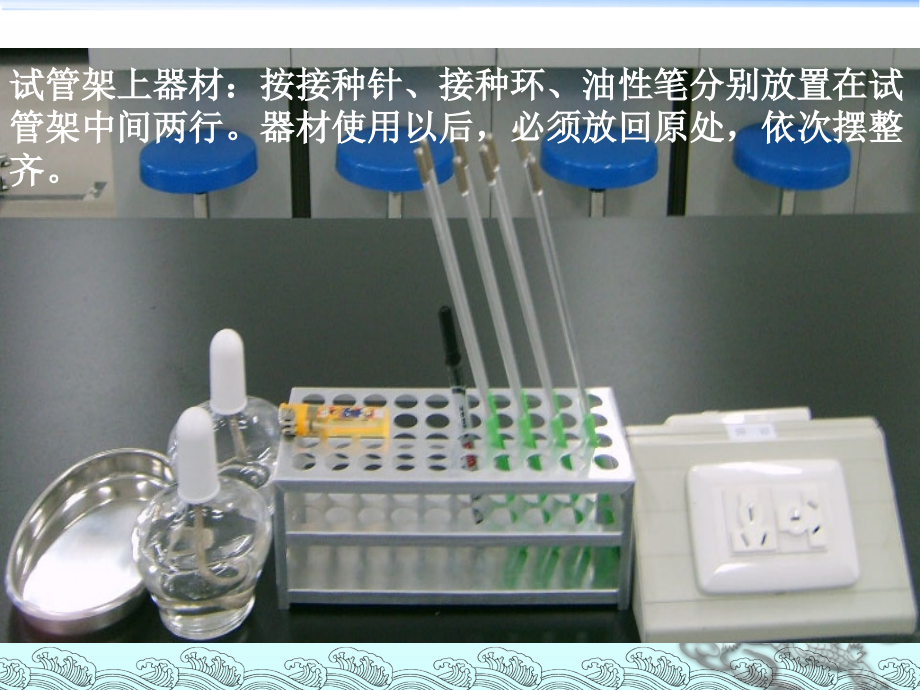 动物的解化脓性细菌.ppt_第2页