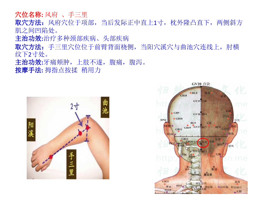 治疗颈椎病的穴位.pptx_第2页