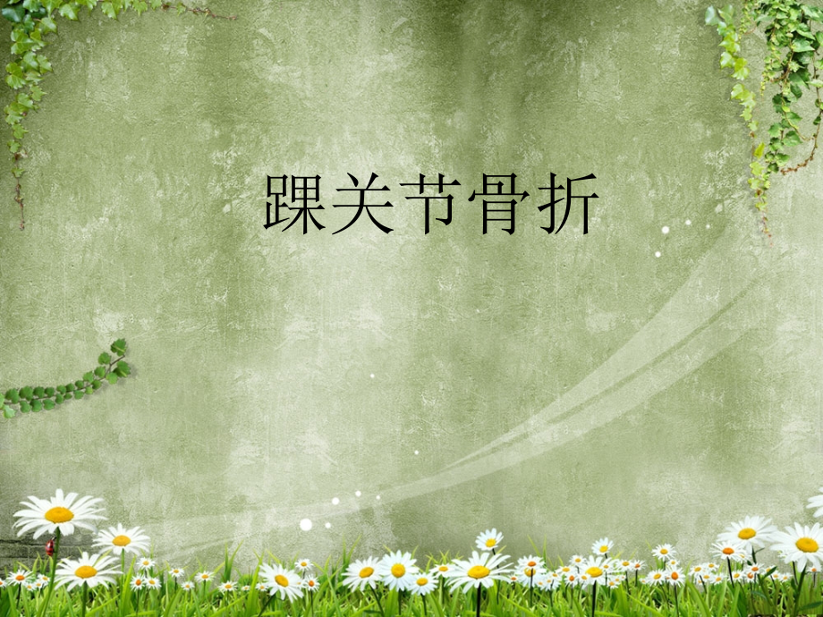 踝关节骨折PPT课件.ppt_第1页