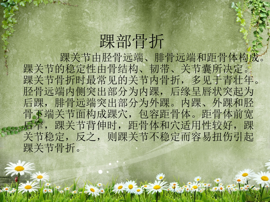 踝关节骨折PPT课件.ppt_第2页