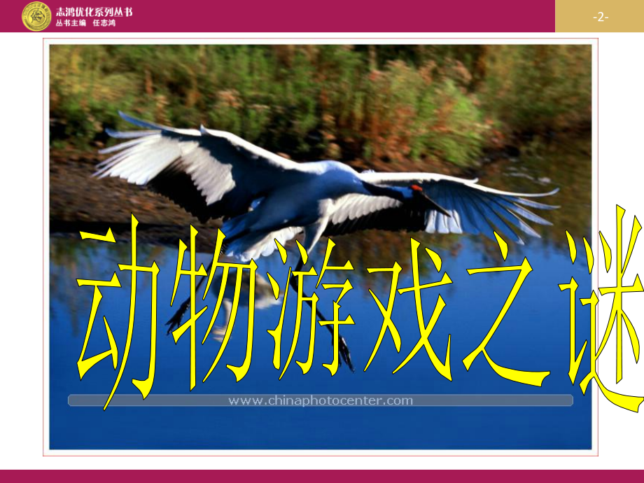 动物游戏之谜优秀教案.ppt_第2页