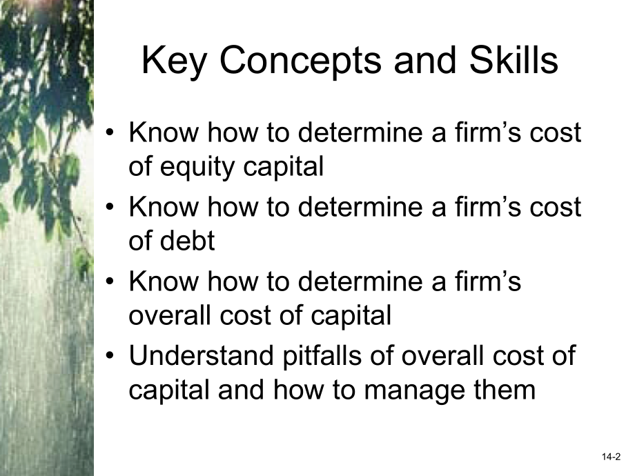 公司理财英文版第十四章.ppt_第2页