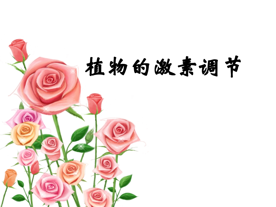 植物激素调节2课时.ppt_第1页