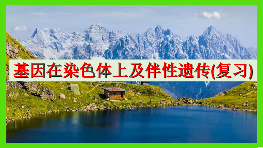 基因在染色体上和伴性遗传一轮复习.ppt_第1页