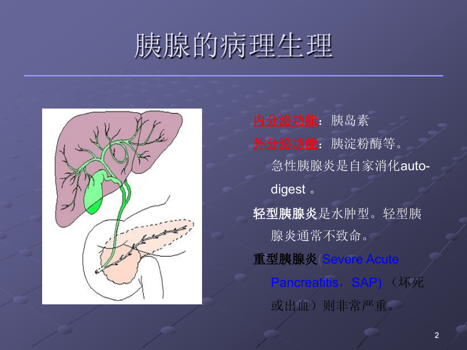 急性重症胰腺炎诊治需要的注意问题.ppt_第2页