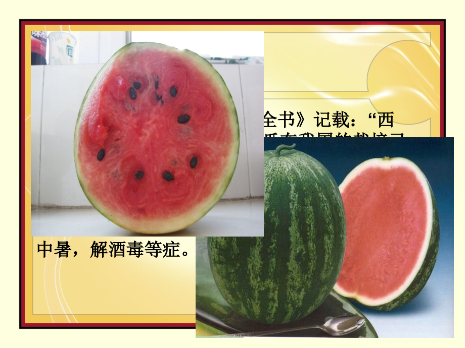 我们身边的.ppt_第2页