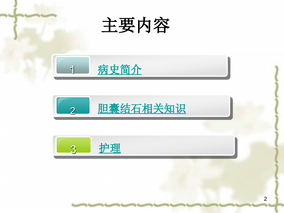 护理查房胆结石.ppt_第2页