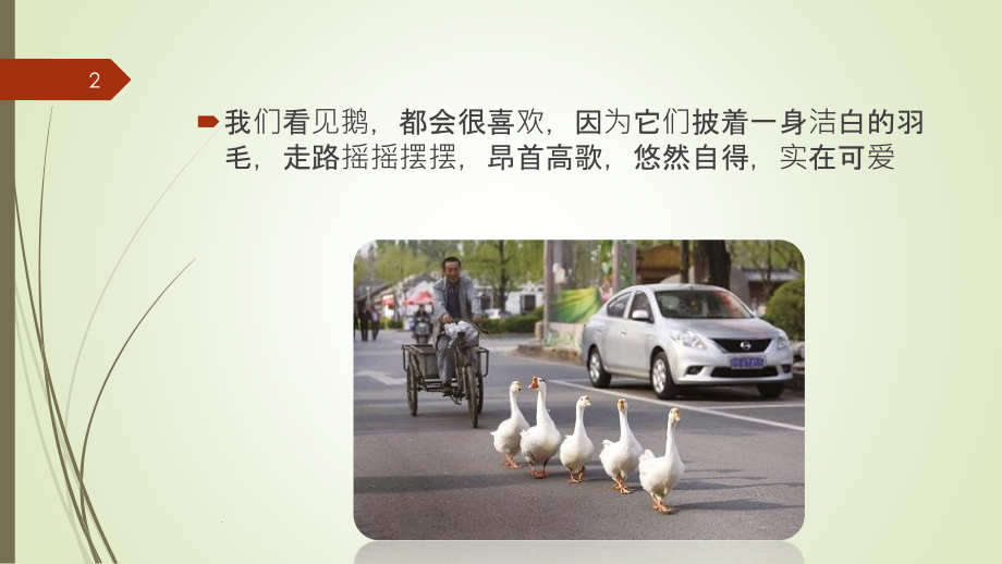 数学PPT课件.pptx_第2页