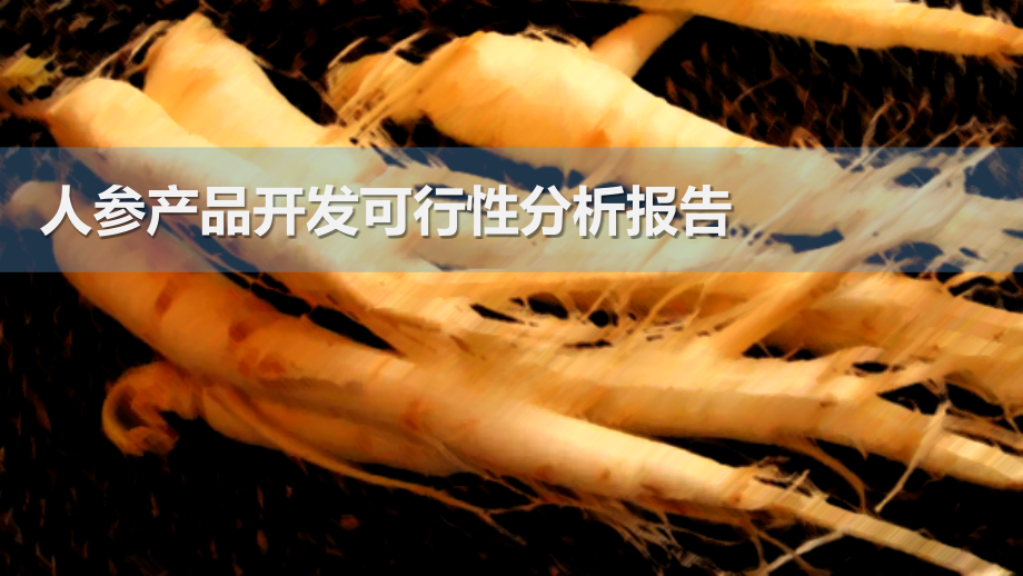 人参产品开发可行性分析报告.pptx_第1页