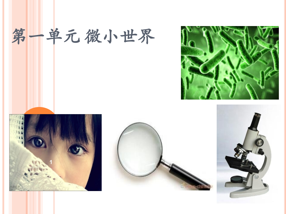 六年级科学下册教科版第一单元复习课微小世界.ppt_第1页