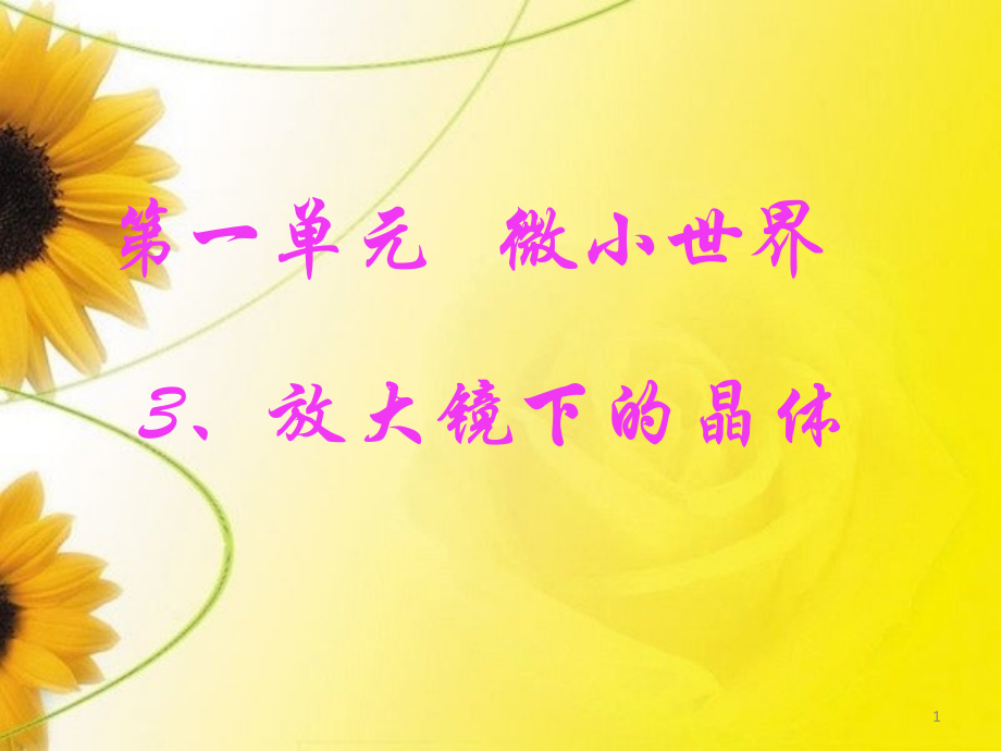 教科版科学六年级下册第一单元放大镜下的晶体.ppt_第1页