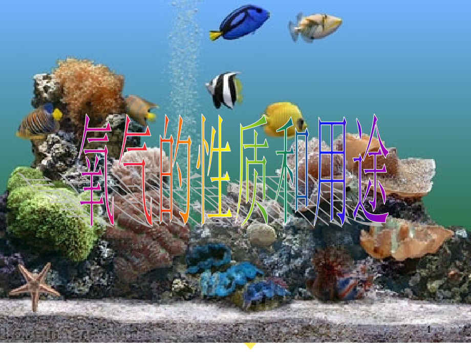 氧气的性质和用途.ppt_第1页