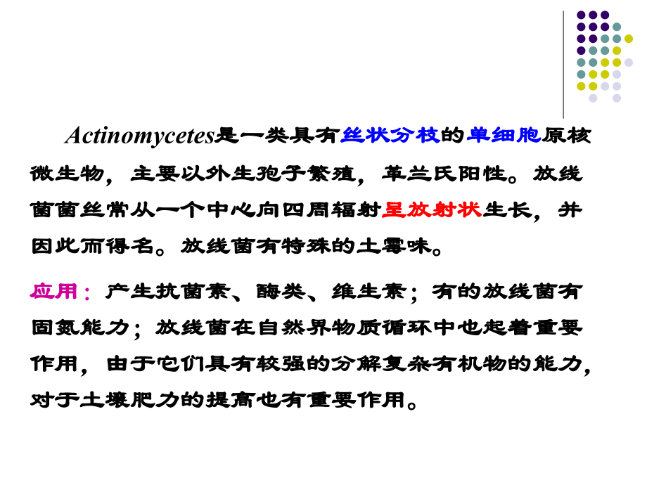 放线菌及蓝细菌PPT医学课件.ppt_第2页