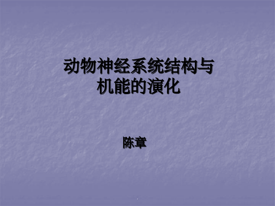 动物神经系统的演化.ppt_第1页