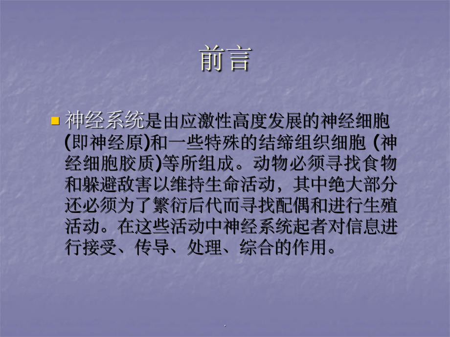 动物神经系统的演化.ppt_第2页