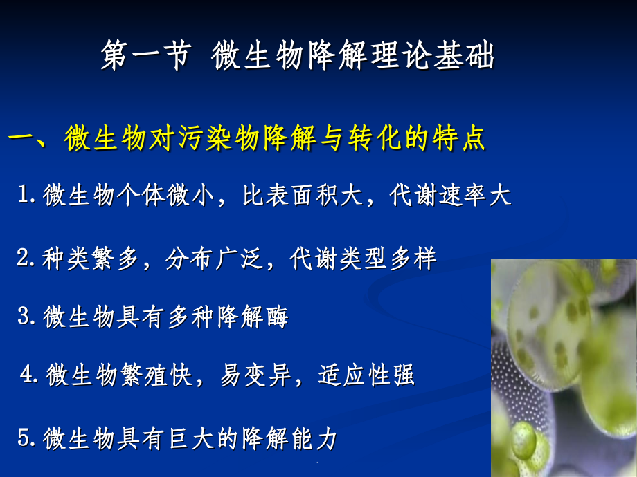 微生物对污染物的降解与转化.ppt_第2页