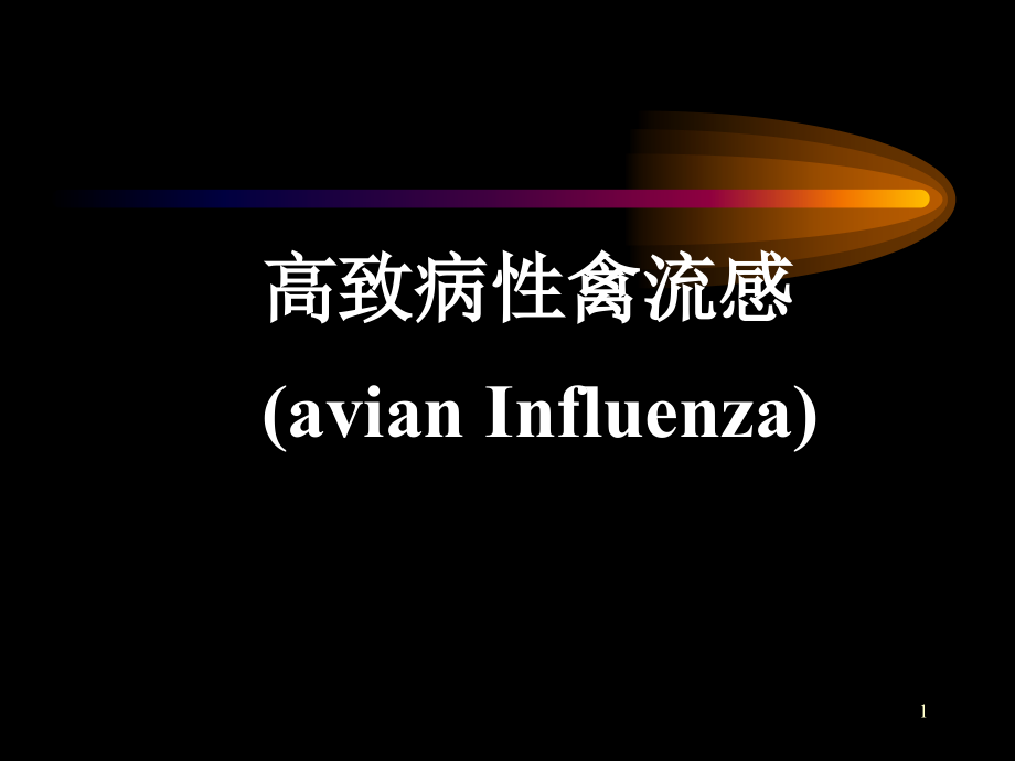 动物检疫学—高致病性禽流感.ppt_第1页