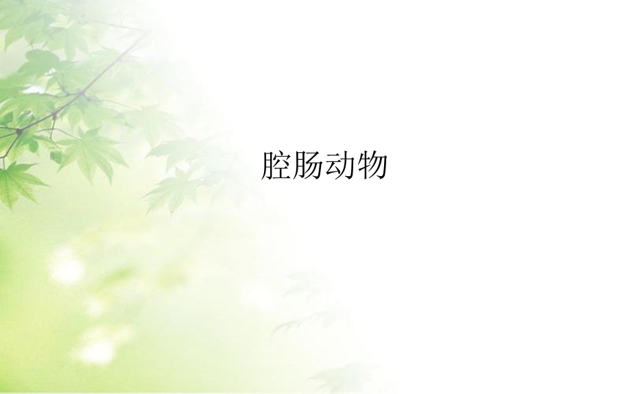 人教版初二八年级生物-初中生物课件-名师教学PPT课件.pptx_第2页