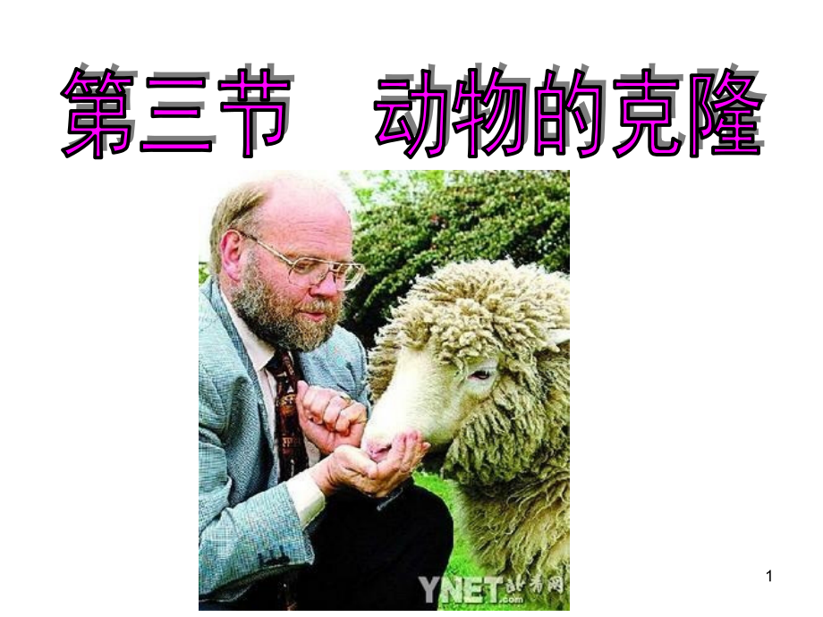 动物的克隆浙科版.ppt_第1页