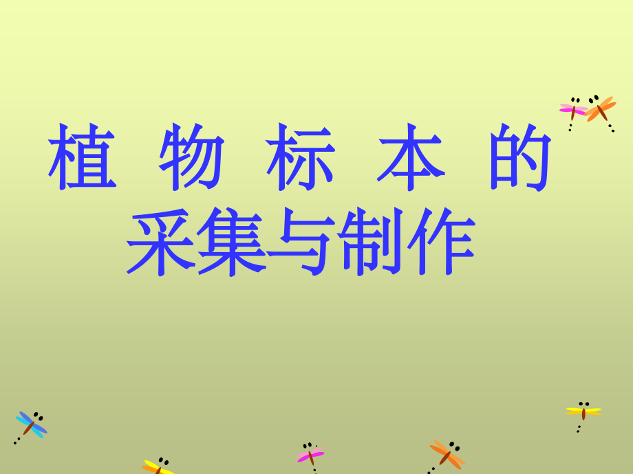 植物标本制作-.ppt_第2页