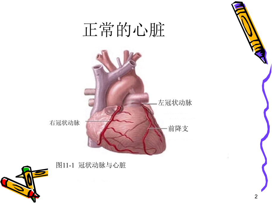 冠心病保健知识讲座.ppt_第2页