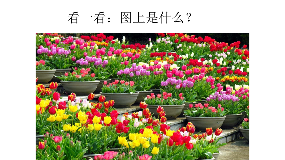 幼儿园小班课件-认识颜色ppt.ppt_第2页