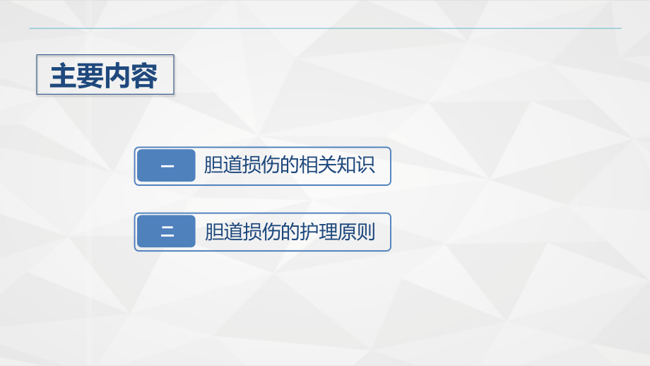 胆道损伤的护理培训课程ppt.pptx_第2页
