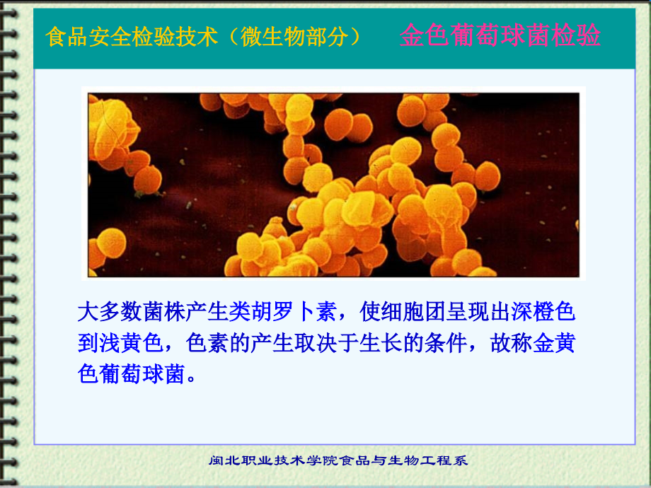 微生物-金黄色葡萄球菌PPT课件.ppt_第2页