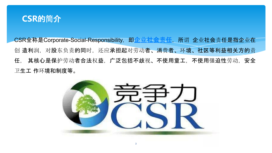 CSR培训教材ppt课件.pptx_第2页