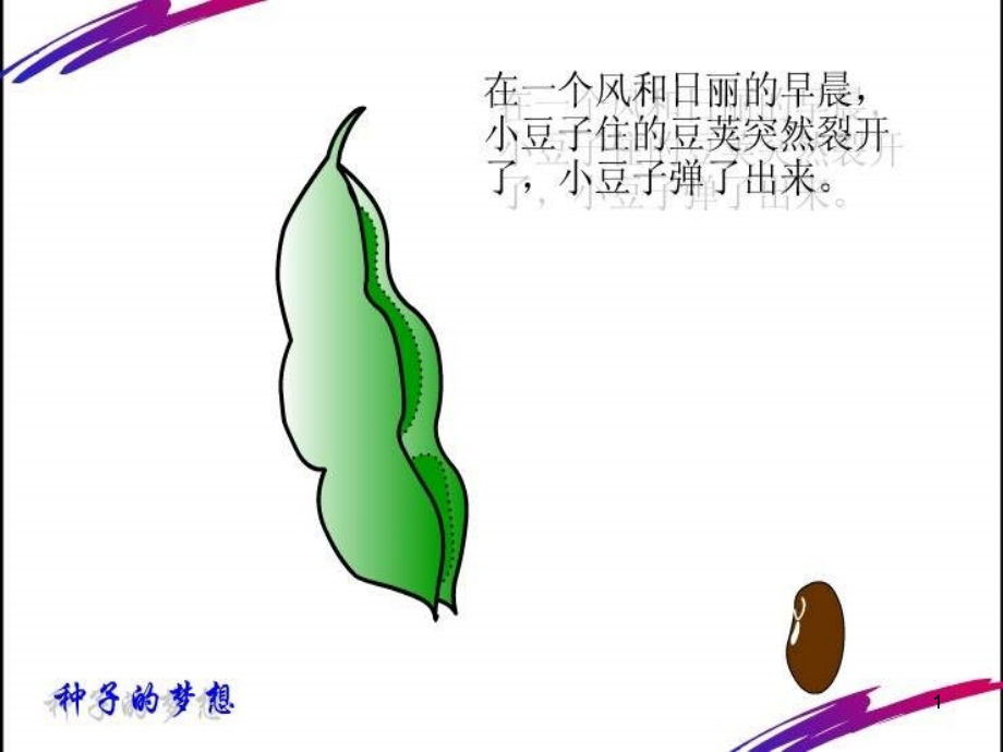 人教版七上开花和结果.ppt_第1页