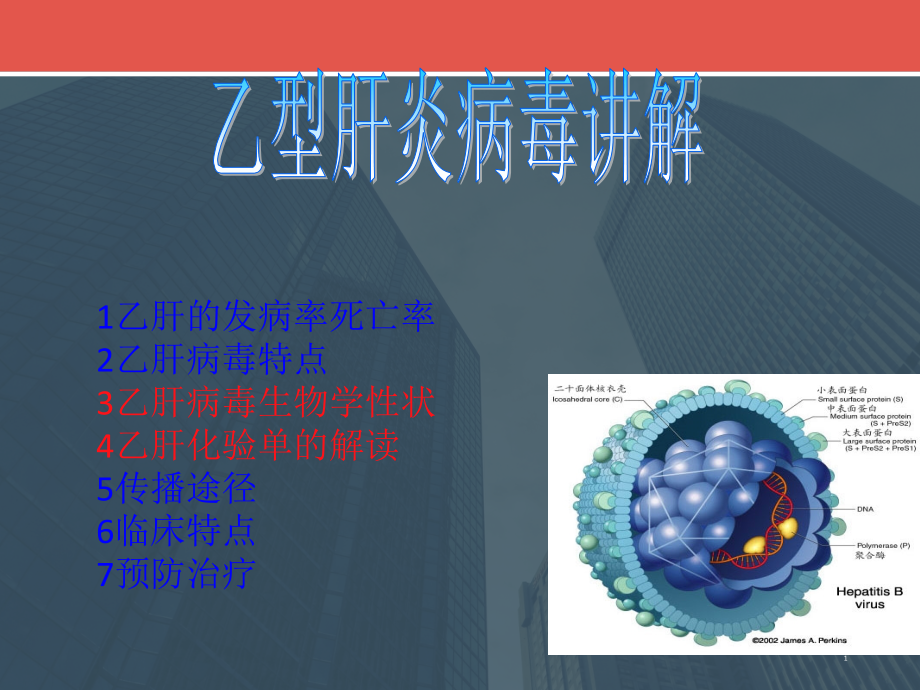 乙型肝炎的讲座.ppt_第1页
