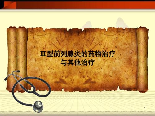 3型前列腺炎.ppt