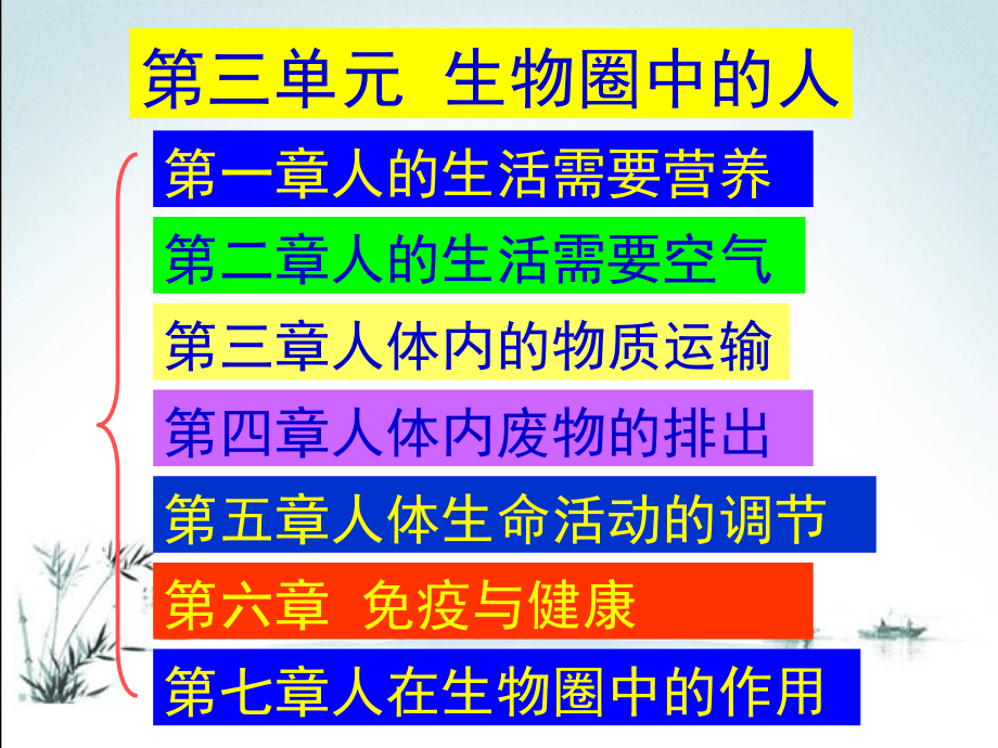 人教版七年级生物下册全册完整课件.ppt_第2页