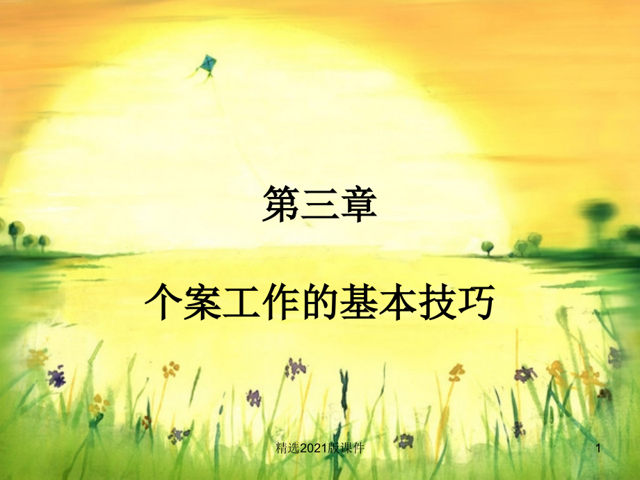 个案工作的基本技巧.ppt_第1页