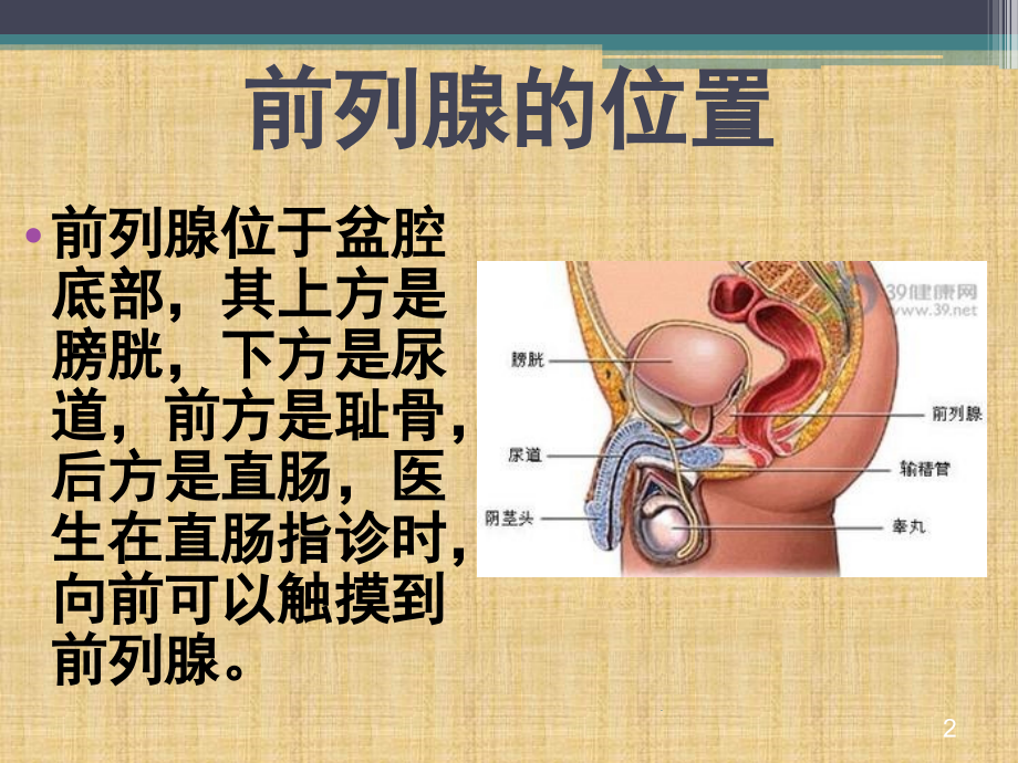 前列腺增生的健康教育PPT课件.pptx_第2页