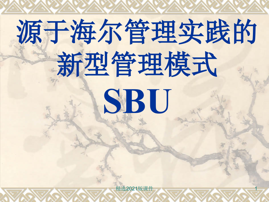 SBU管理详解.ppt_第1页