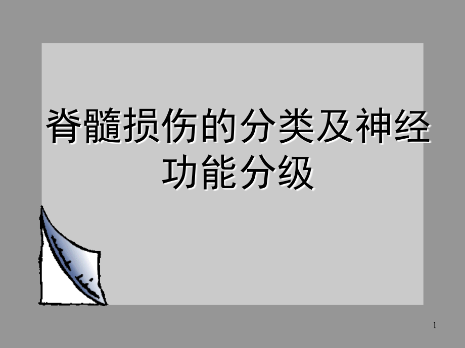 脊髓损伤的分类及评分ppt课件.ppt_第1页