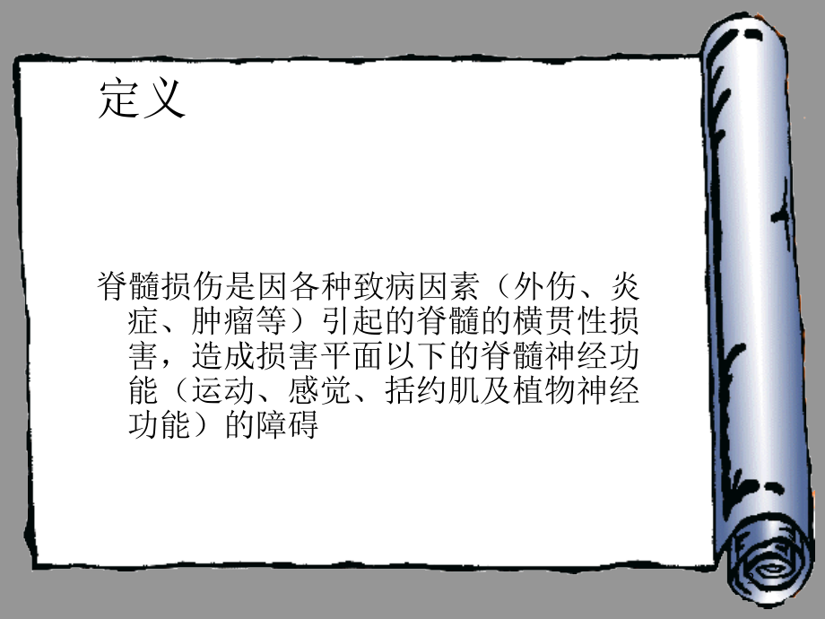 脊髓损伤的分类及评分ppt课件.ppt_第2页