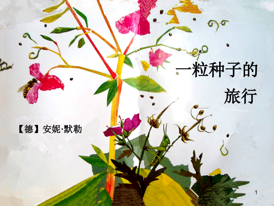 一粒种子的旅行ppt课件.ppt_第1页