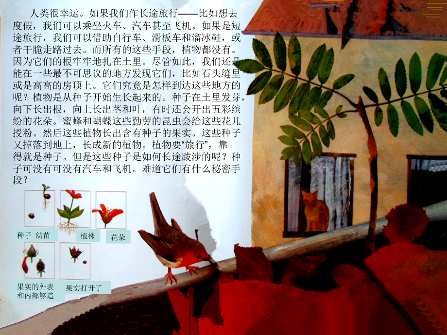 一粒种子的旅行ppt课件.ppt_第2页