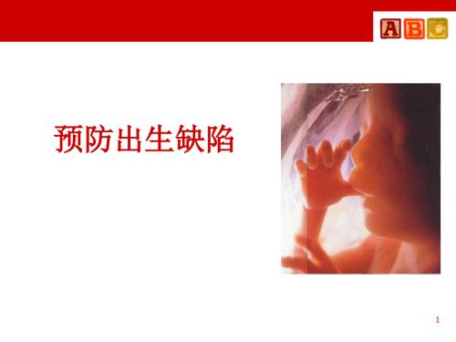 预防出生缺陷ppt课件.ppt