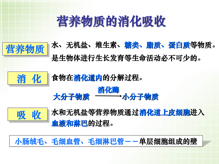 一轮复习三大代谢.ppt_第2页